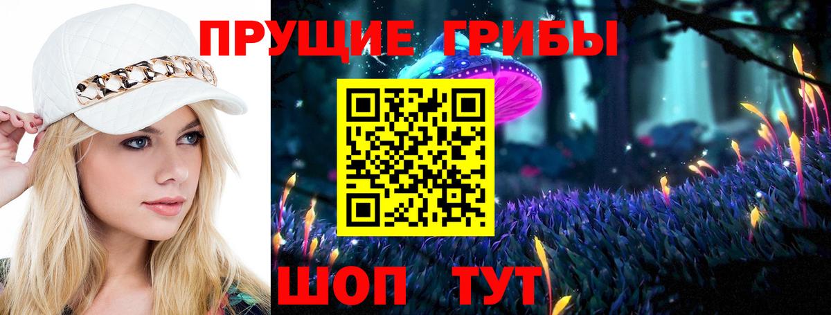 Псилоцибиновые грибы Psilocybe Луховицы
