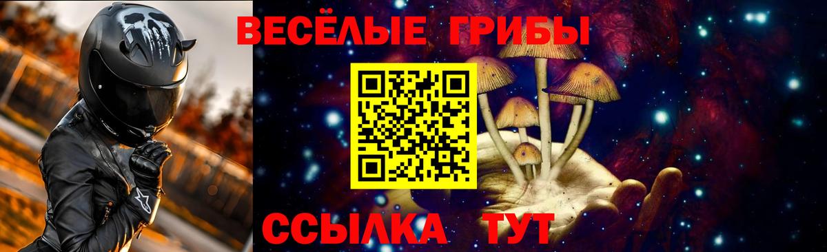 Галлюциногенные грибы мицелий  Вход с VPN  Луховицы  Псилоцибиновые грибы GOLDEN TEACHER 