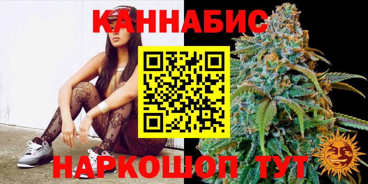 Бошки Шишки конопля  МАРИХУАНА сатива  Луховицы  Вход с VPN  Канабис тримм 